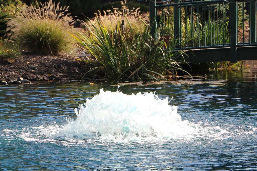 Otterbine All-in-One pond aerator creating surface agitation and oxygen transfer