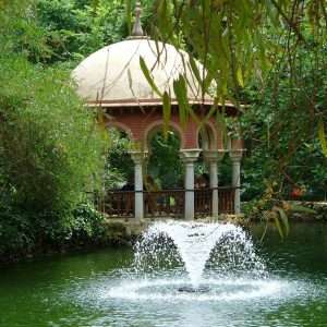 All-in-One Small Pond Aerator