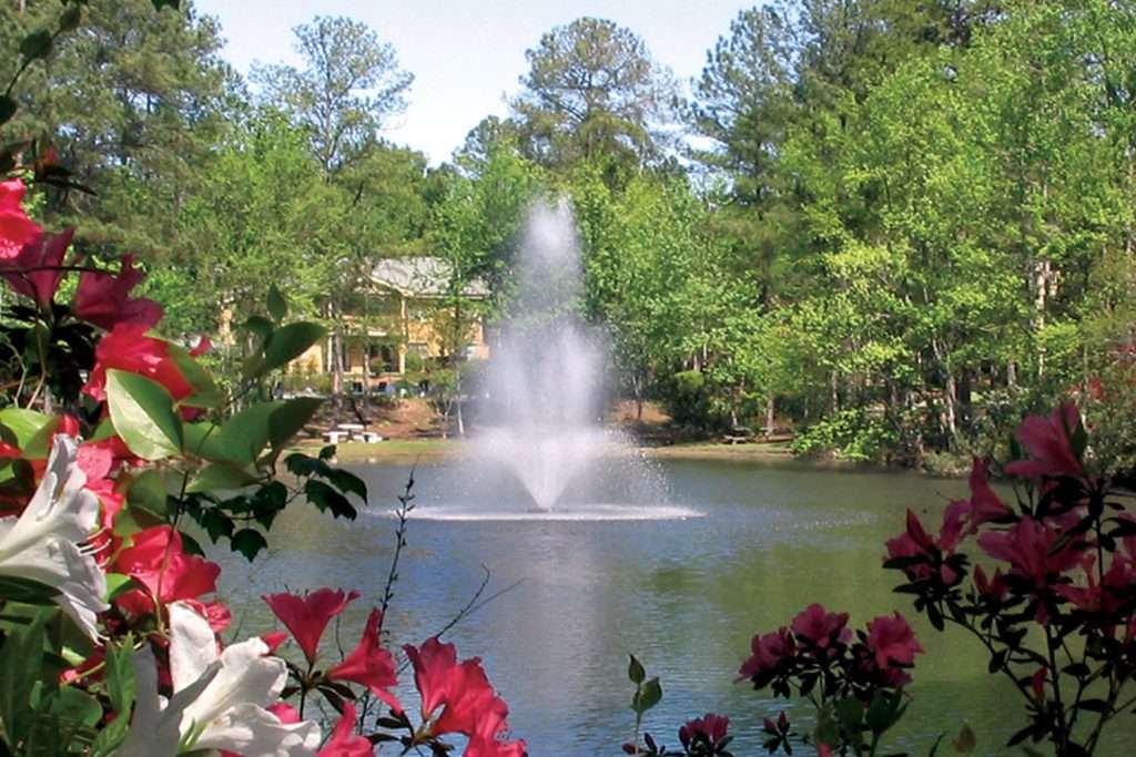 Garden pond with central fountain, surrounded by blooming flowers and trees.
