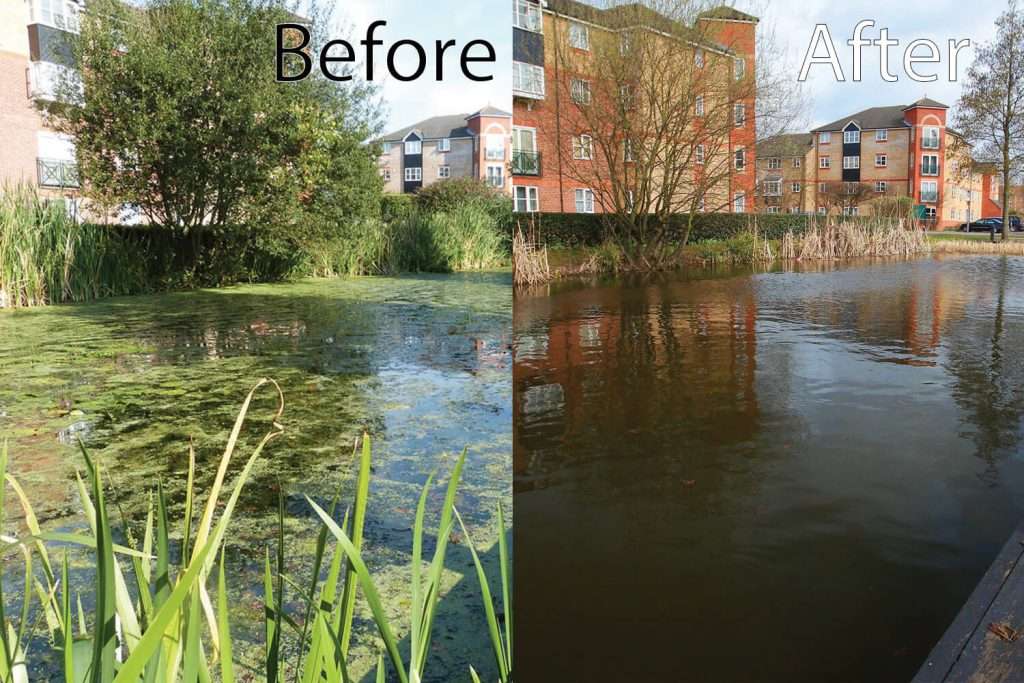 Before and after comparison showing Otterbine Aspirator cleaning pond algae