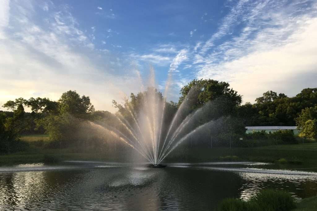 Otterbine Equinox fountain in a pond with water spray illuminated against a colourful evening sky