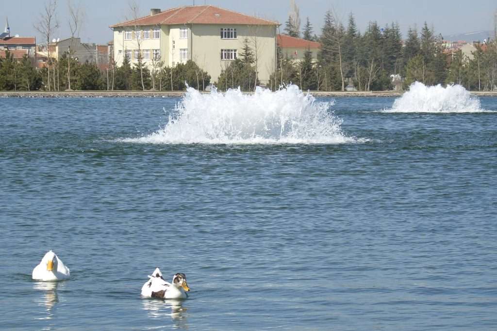 Otterbine High Volume fountain aerating a lake with ducks on the water