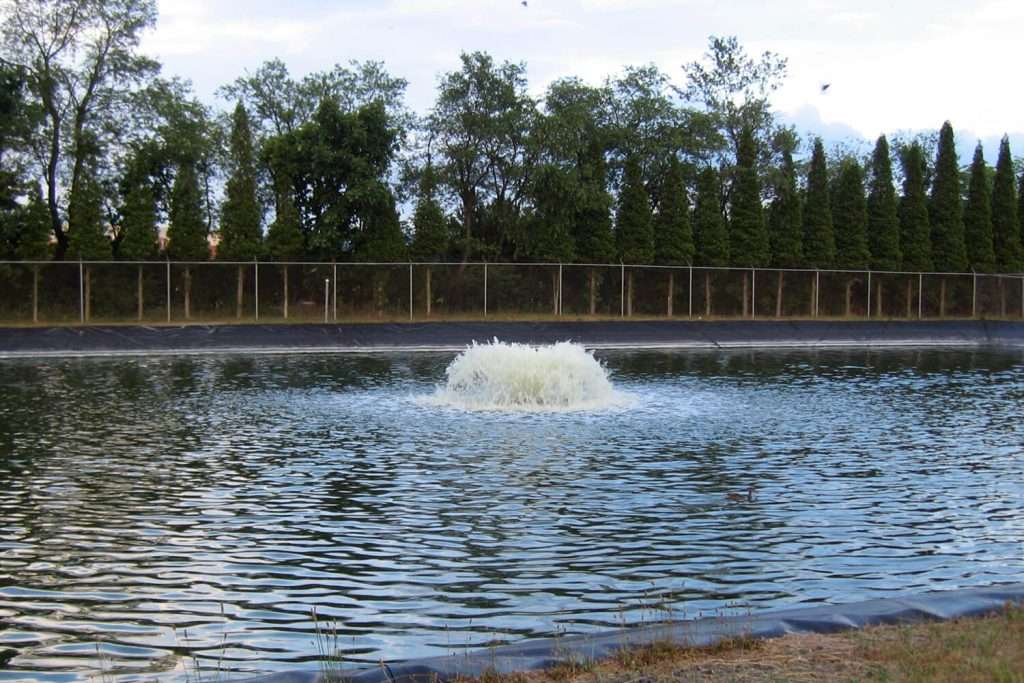 Pond with central water fountain and tree-lined background.