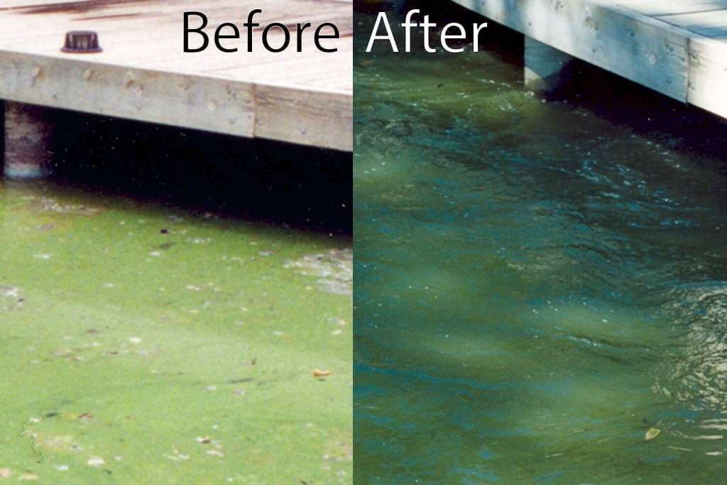 Comparison showing before and after results of Otterbine Sub-Triton Mixer clearing green water