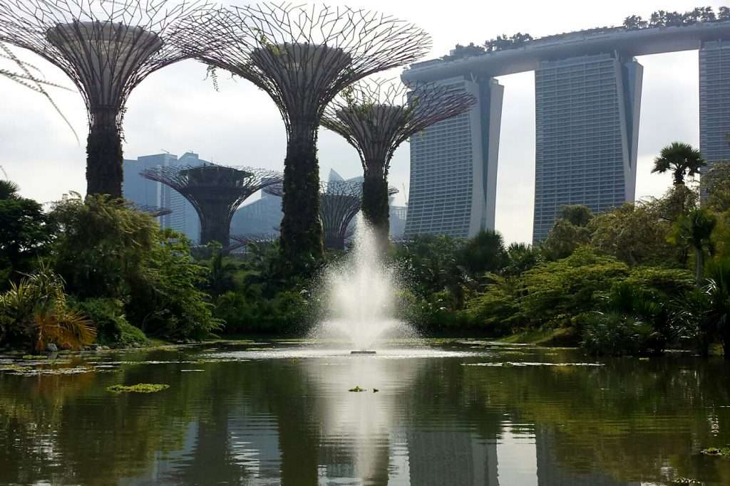 Gardens by the Bay with Marina Bay Sands in background.
