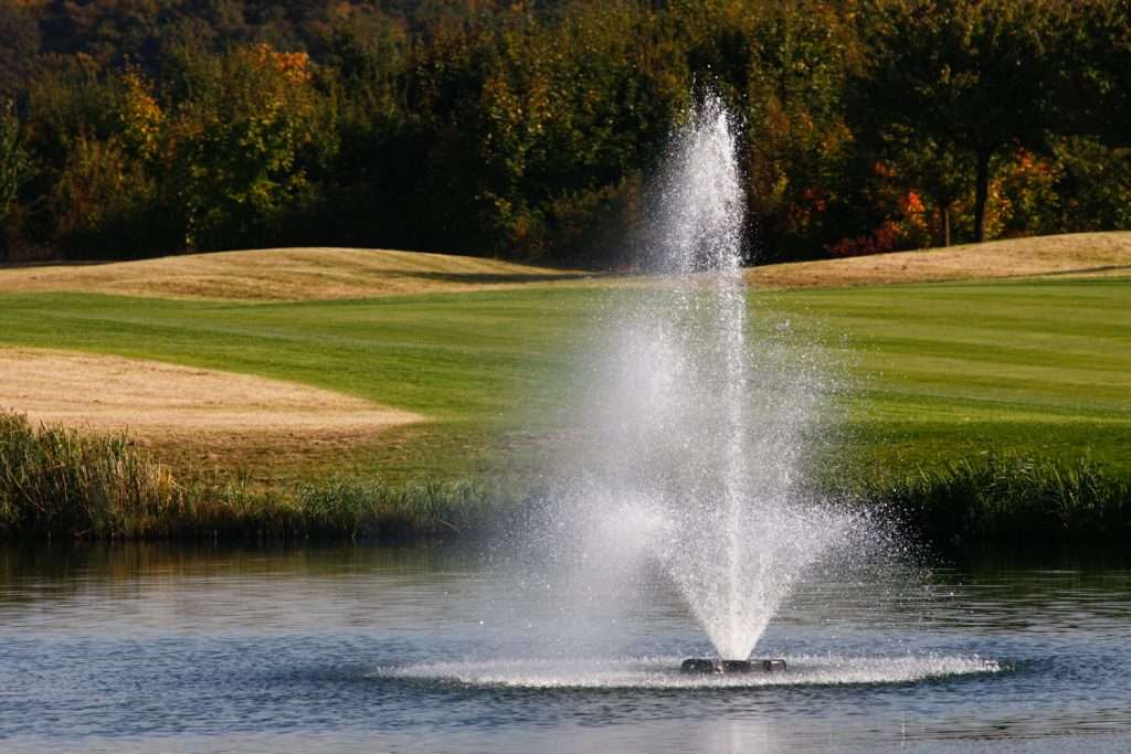 Fountain spraying water in tranquil park pond.