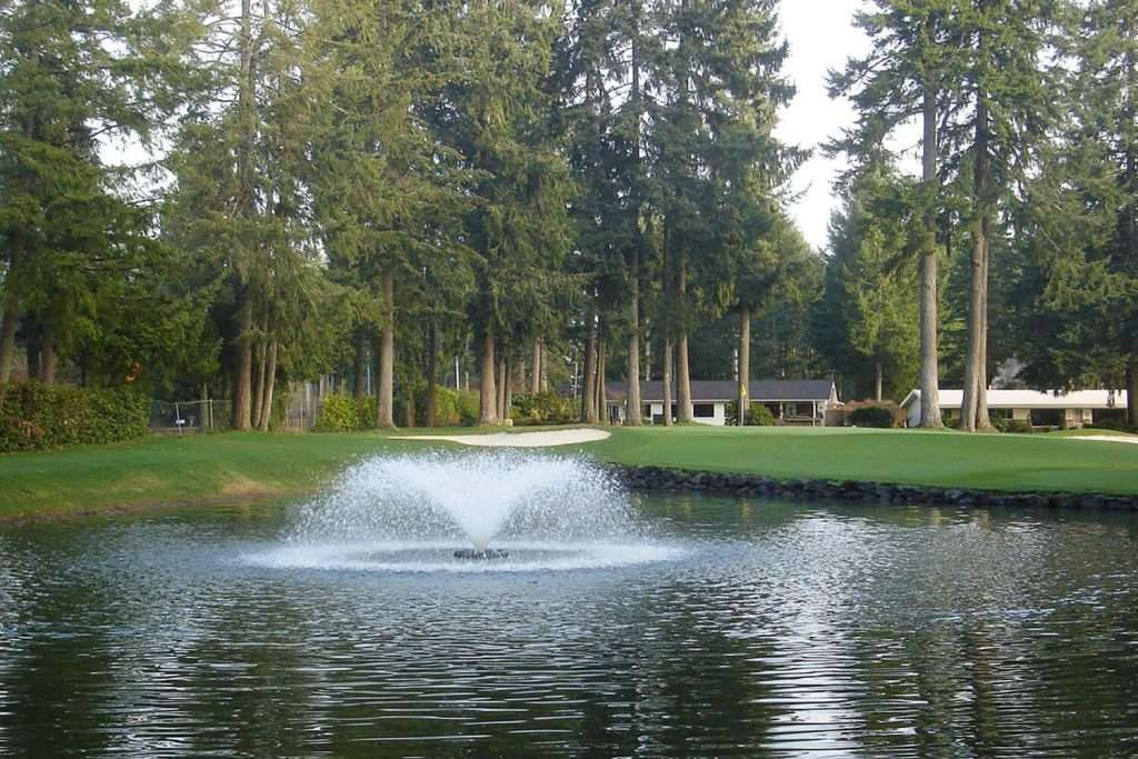 Fountain in pond surrounded by tall evergreen trees.