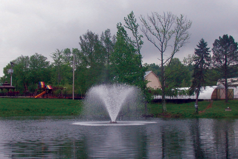 Fountain spraying water in a pond with trees in background.