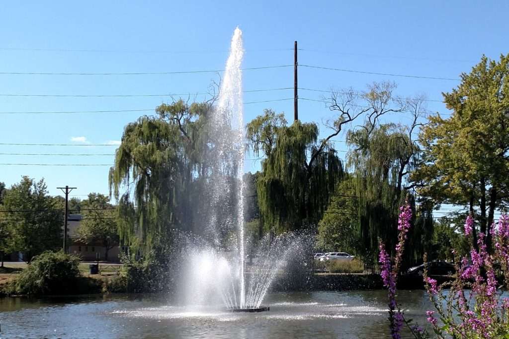 Otterbine Aquastar fountain with tall central spray in a landscaped pond