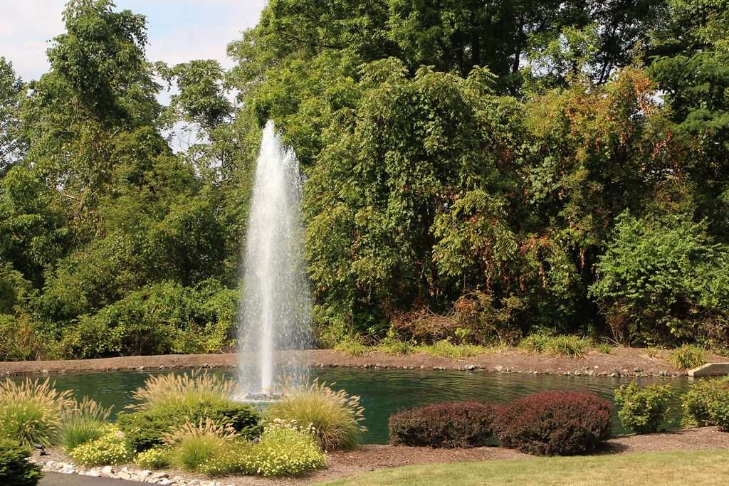 Garden pond with central water fountain surrounded by lush greenery.