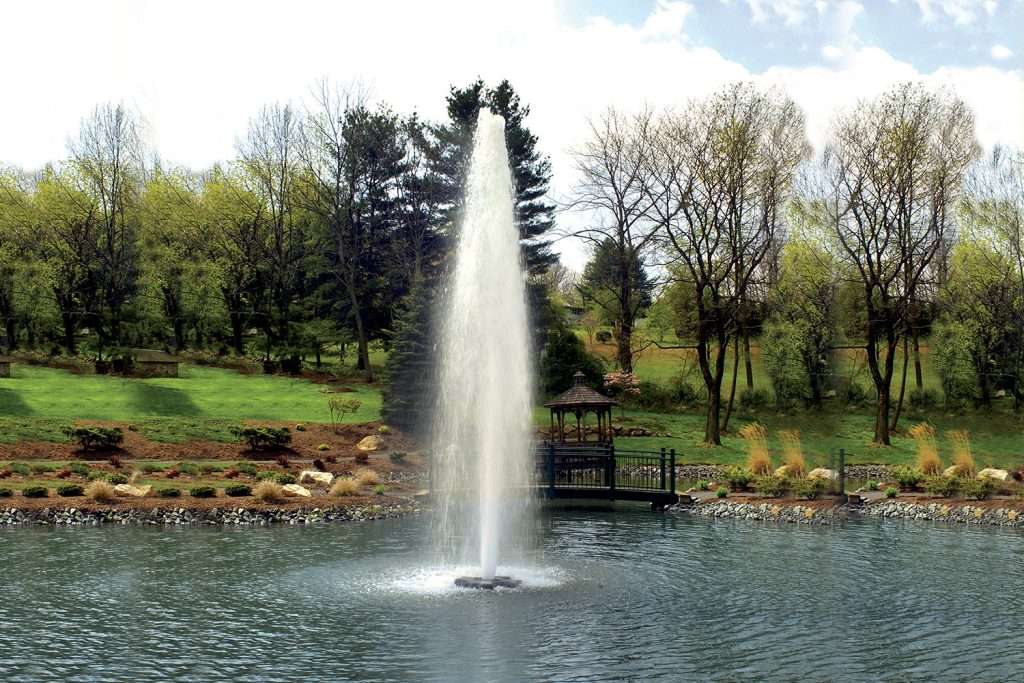 Fountain spraying water in tranquil park pond with trees.