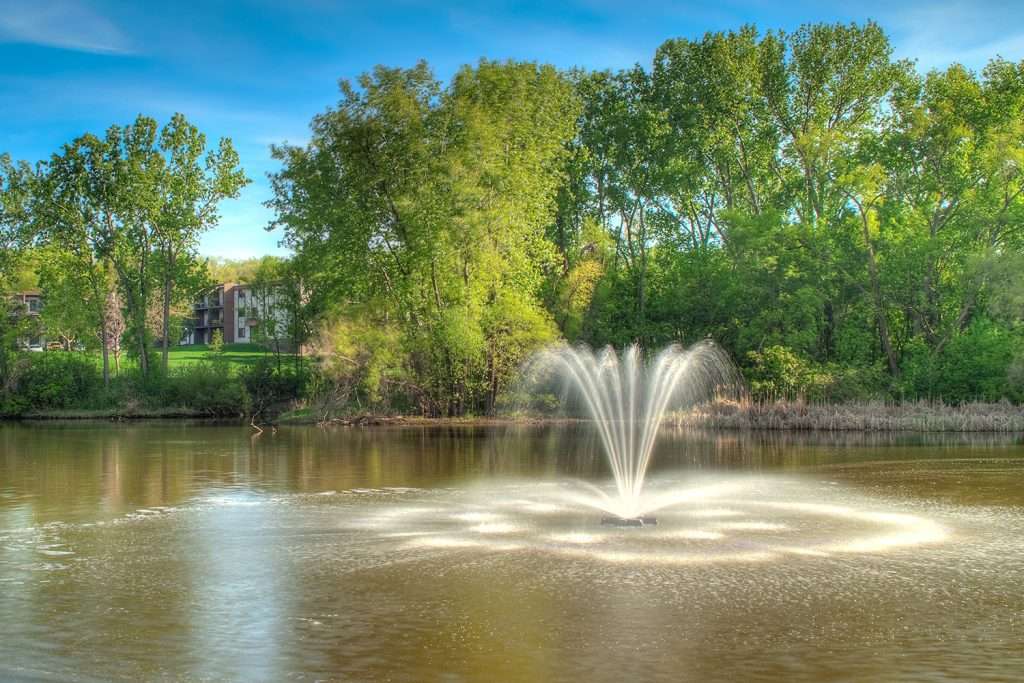 Park pond with fountain and surrounding green trees.