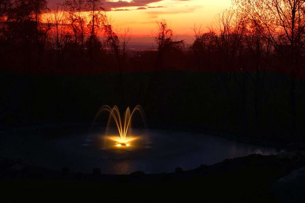 Illuminated fountain in pond at sunset with silhouetted trees.