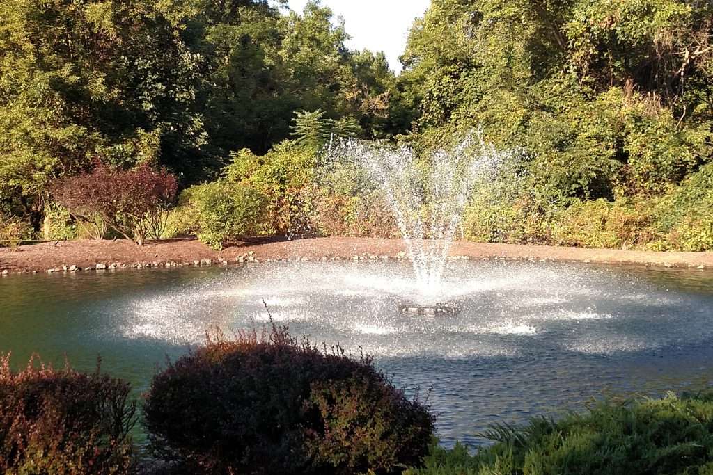 Garden fountain surrounded by lush greenery and shrubs.