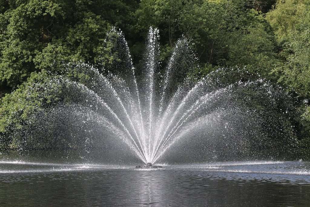 Water fountain spraying in symmetrical pattern, surrounded by lush greenery.
