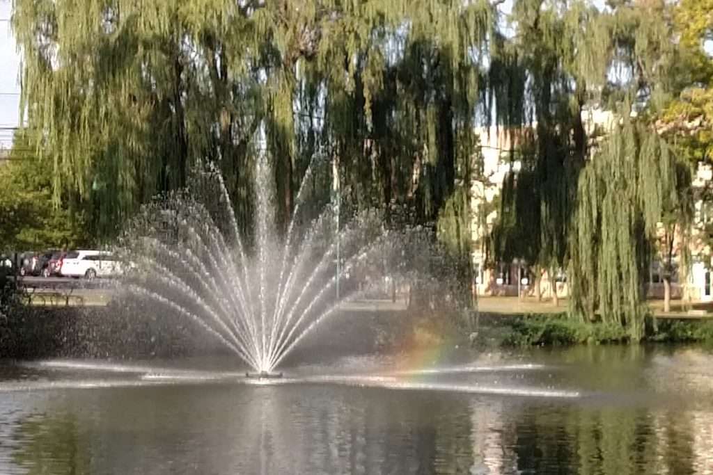 Fountain spraying water in pond with rainbow and willow trees.