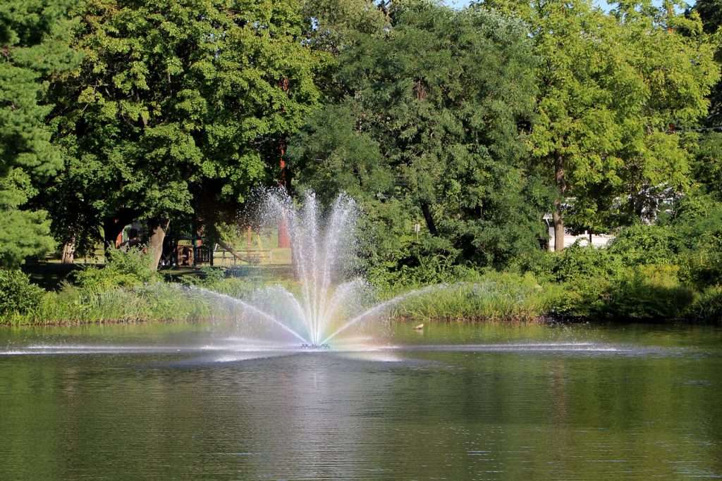 Fountain spraying water in a lush green park.