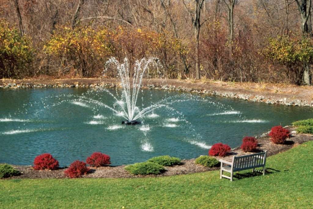 Garden pond with fountain, surrounded by trees and red shrubs.