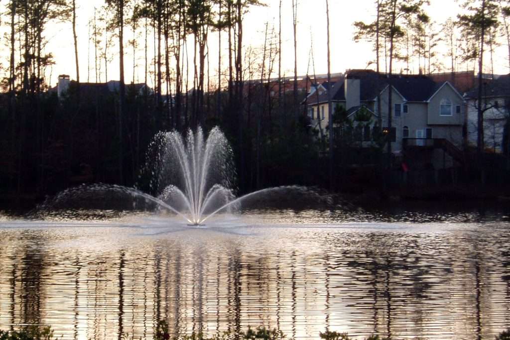 Fountain spraying water in serene lake surrounded by trees.