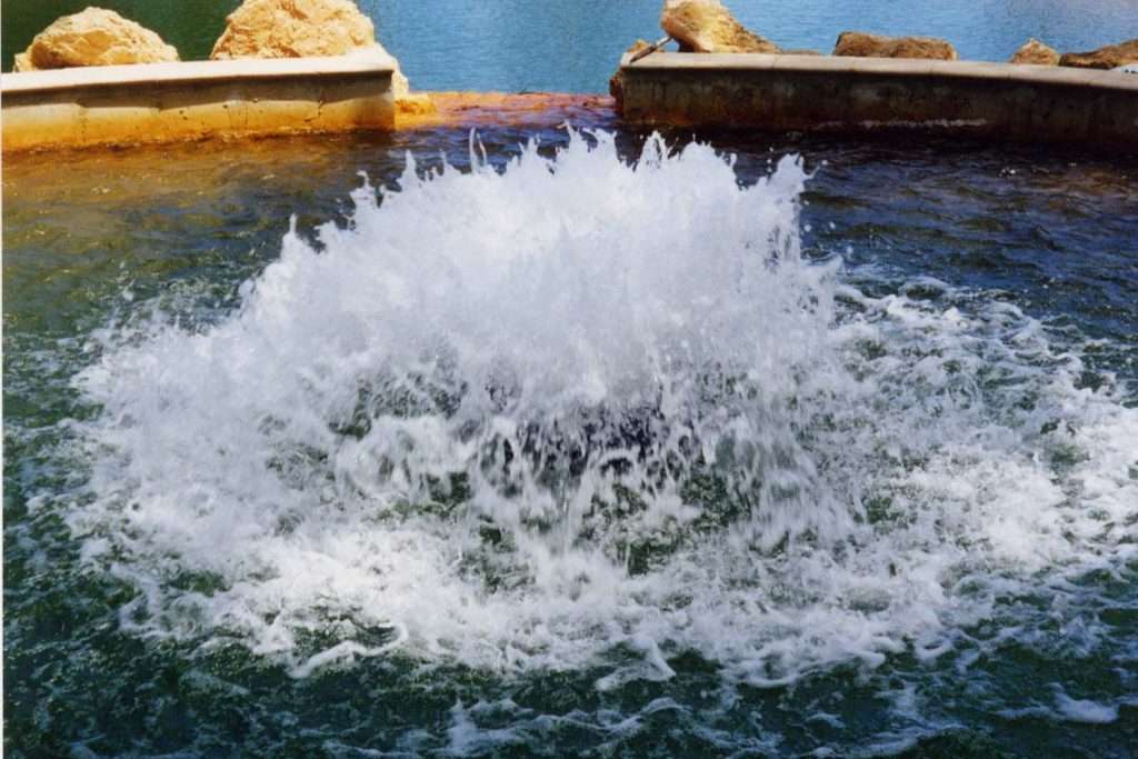 Water fountain splashing in a pond with rocky edges.