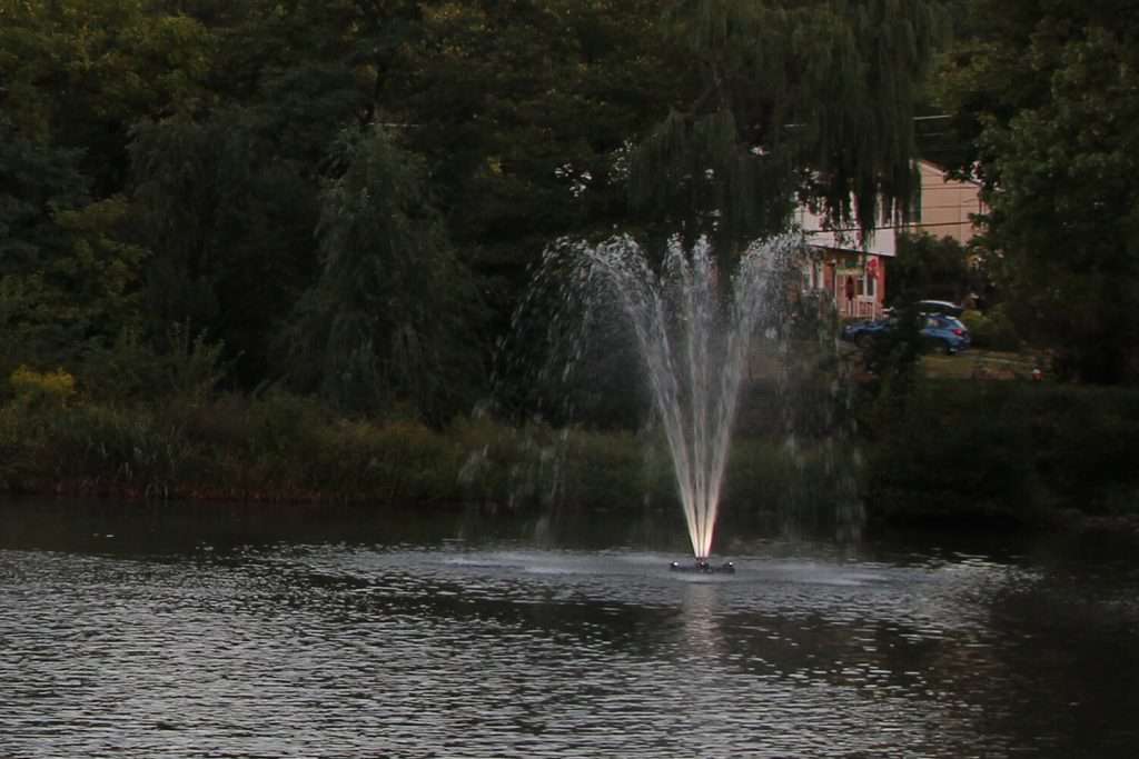 Fountain spraying water in a serene pond surrounded by trees.