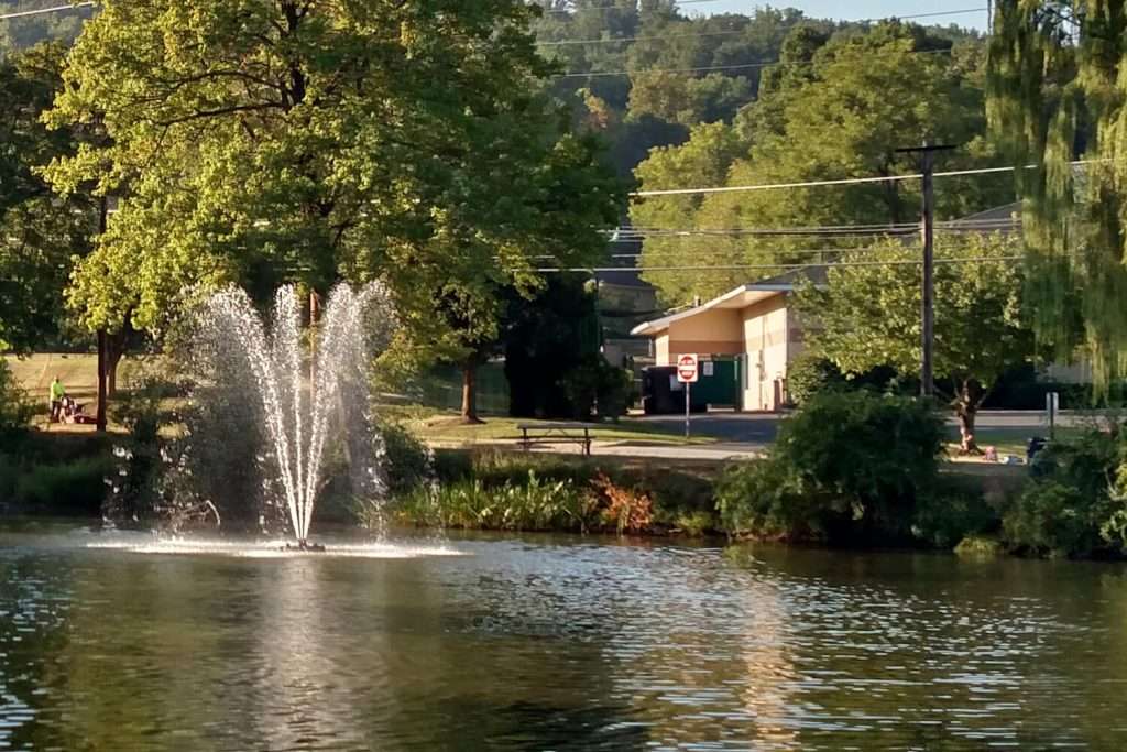 Fountain spraying water in a serene park lake setting.