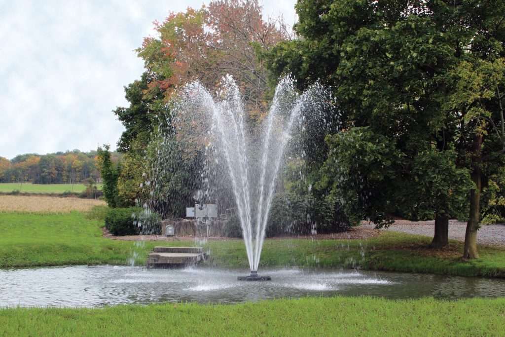 Garden fountain spraying water in pond surrounded by trees.