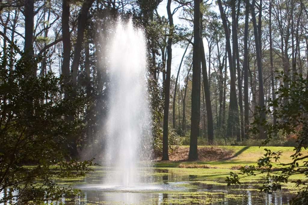 Otterbine Rocket fountain jetting water vertically in a forest pond setting