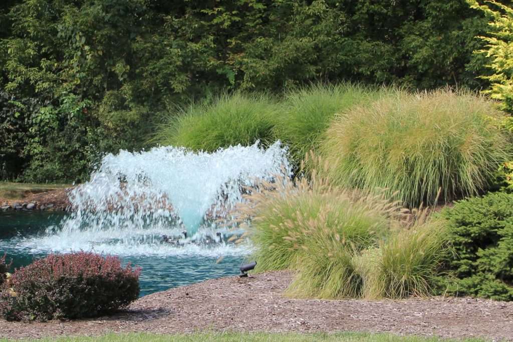 Garden fountain surrounded by lush green plants and bushes.