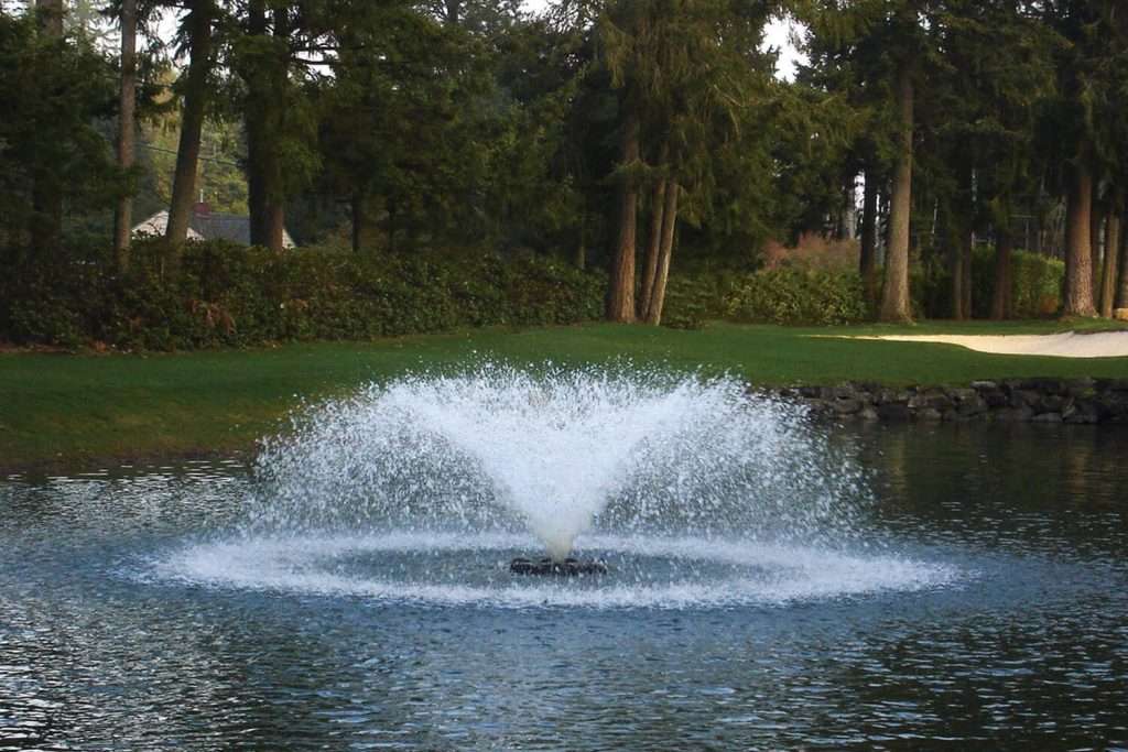 Water fountain spraying in tranquil pond surrounded by trees.