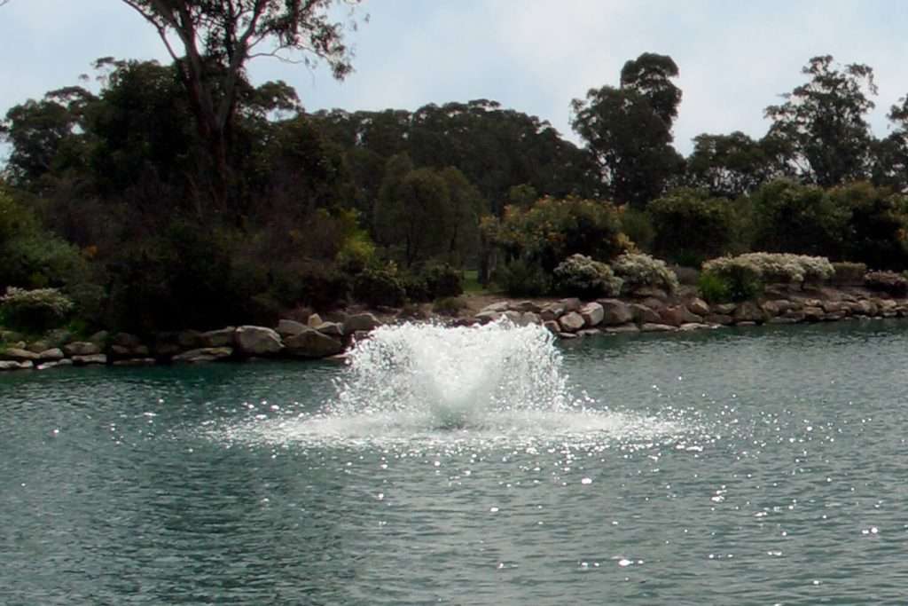 Fountain splashing in a tranquil pond surrounded by trees.