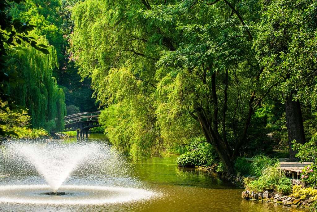 Lush garden with fountain and wooden bridge over pond.