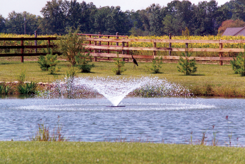 Garden pond with central water fountain and wooden fence backdrop.