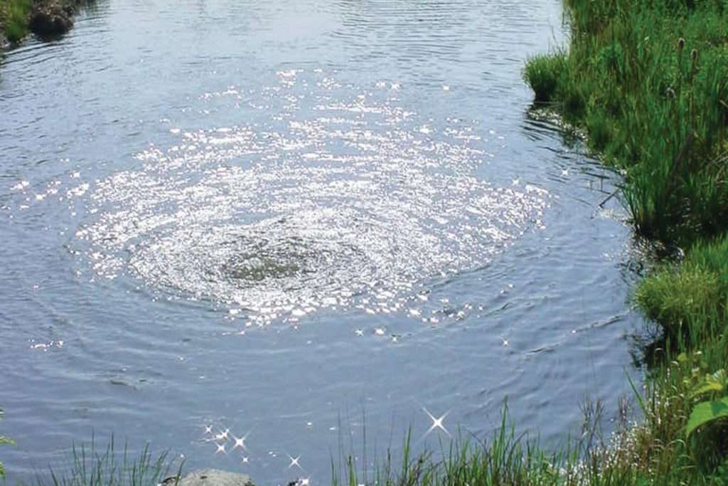 Rippling pond with sparkling water and grassy banks.