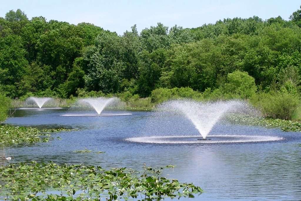 Three fountains in a pond surrounded by lush greenery.