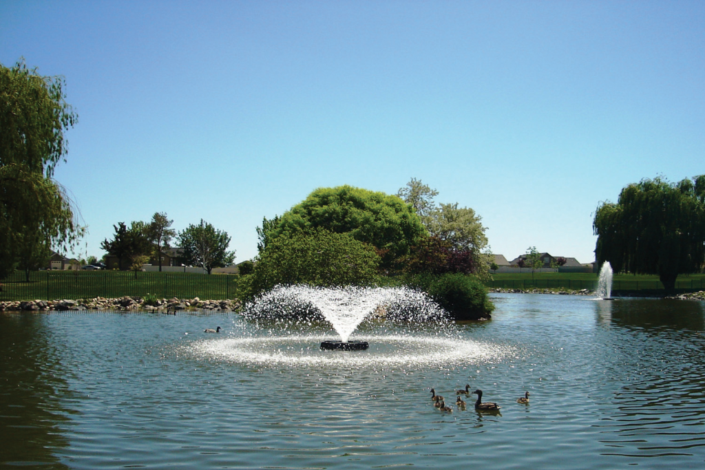 Park pond with fountain and ducks swimming nearby.