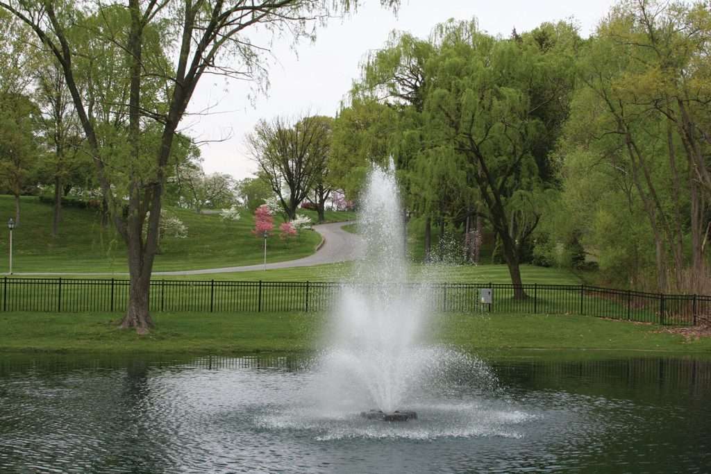 Park fountain surrounded by lush green trees and pathway.