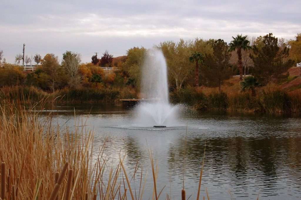 Fountain spraying water in a serene pond surrounded by trees.