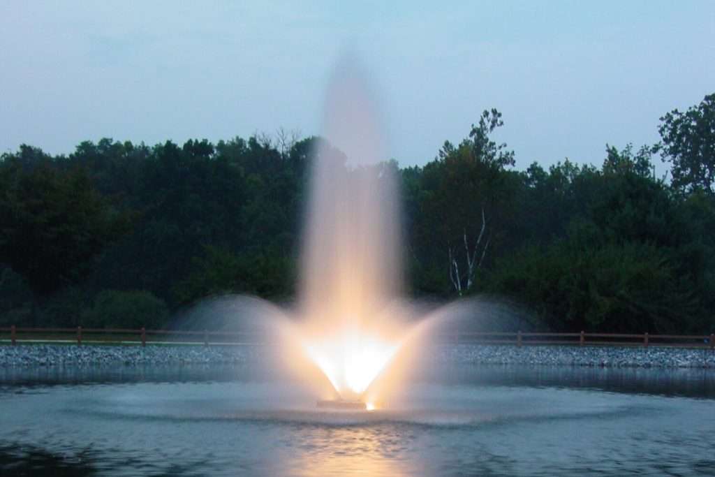 Illuminated fountain spraying water in a tranquil pond.